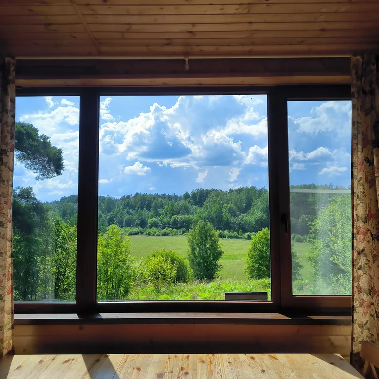 Дом на берегу озера с видом на лес