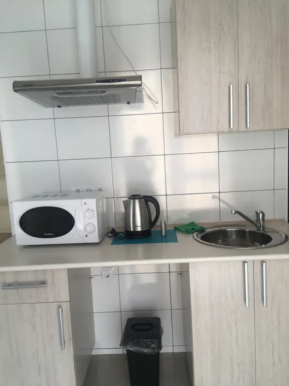 Квартира Просторная комната-студия в Олимпийском парке — Сириус