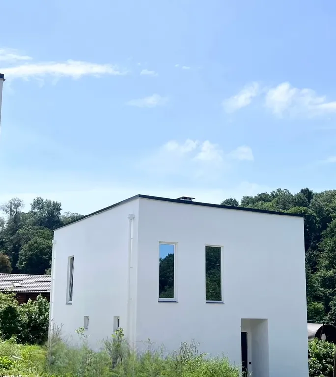 Современный дом с видом на природный парк