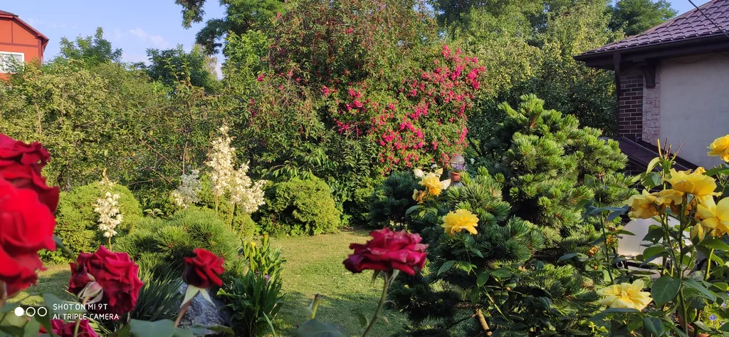 Студия в тихом уголке