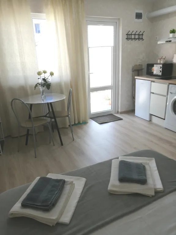 Студия с террасой