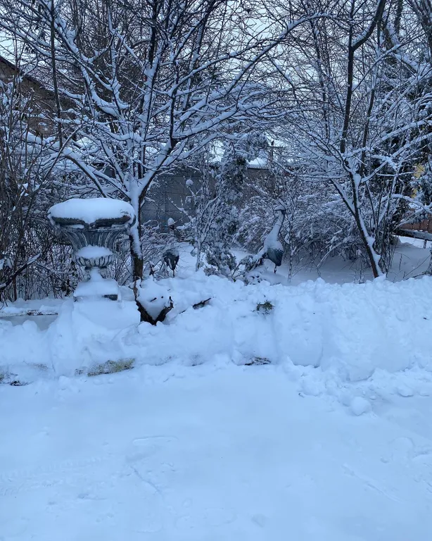 Гостиница с садом и баней