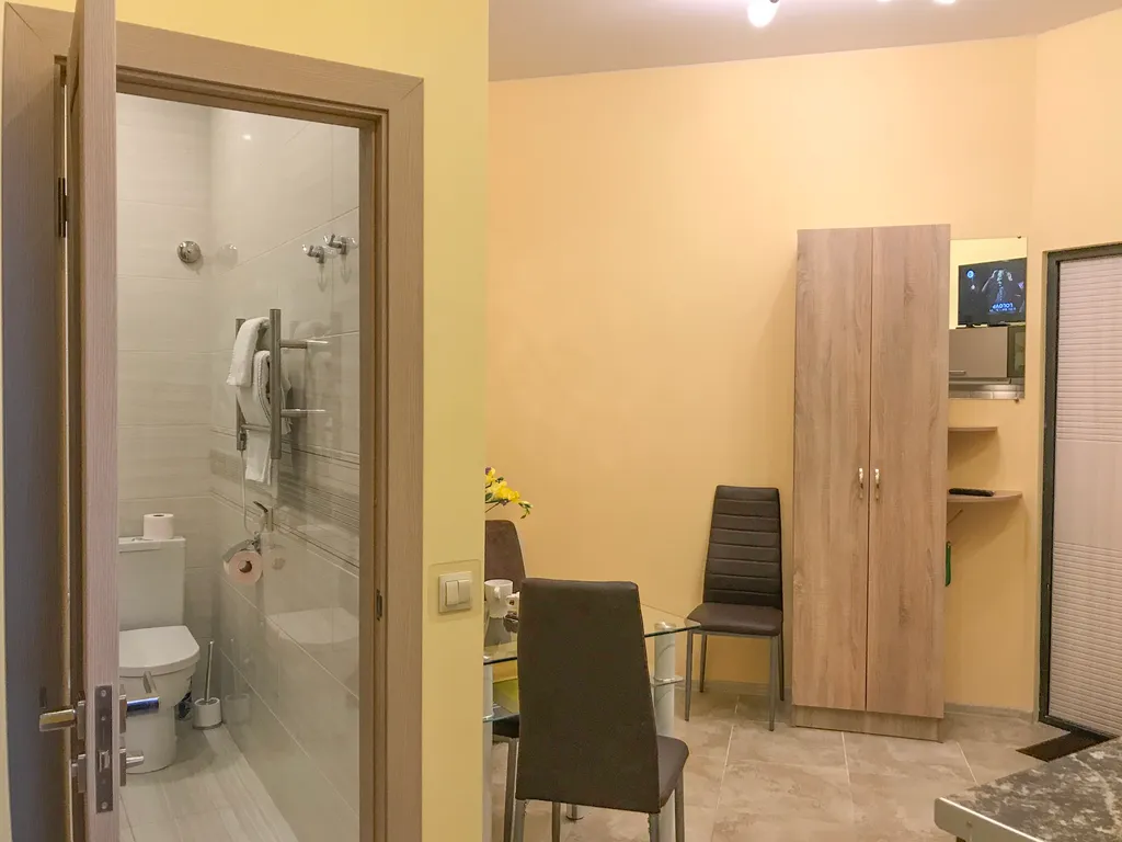 Квартира Квартира Санни Светлогорск 9 с одной спальней, отдельный вход, в центре — Светлогорск