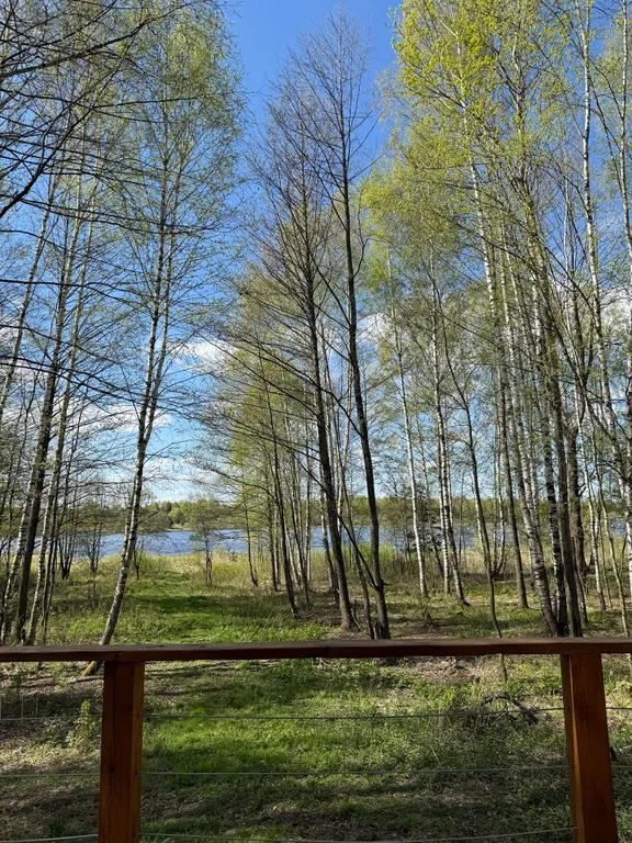 Коттедж Большой треугольный дом 90м2 с завтраком — Куровское