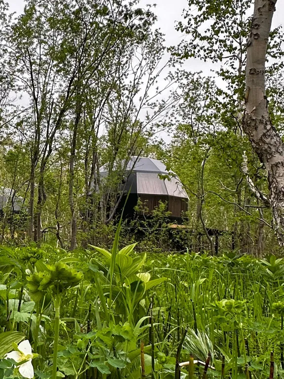 Лесной купольный дом Черника