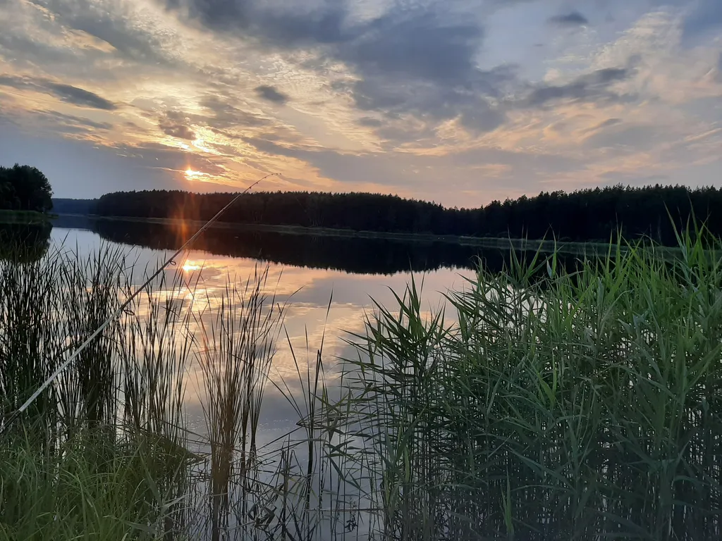 Сказка в беловежской пуще, отдельный дом без соседства, баня, озера