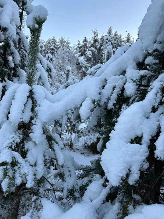 Коттедж Дом из клееного бруса с сауной — Кучерово