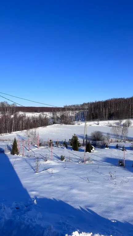 Уютный новый дом с сауной включена в стоимость и видом на озеро и лес