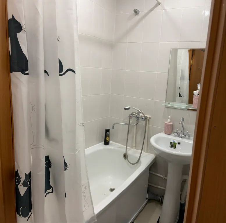 Дубки четырехместные напротив универа