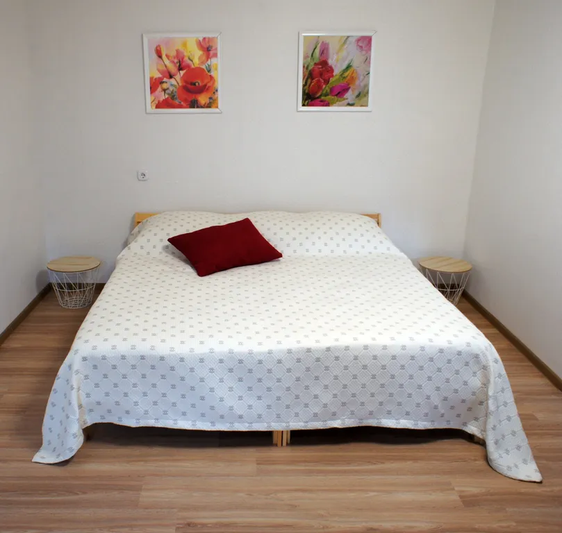 Квартира Апартаменты Оптимум - уютный уголок — аренда посуточно в Кострома