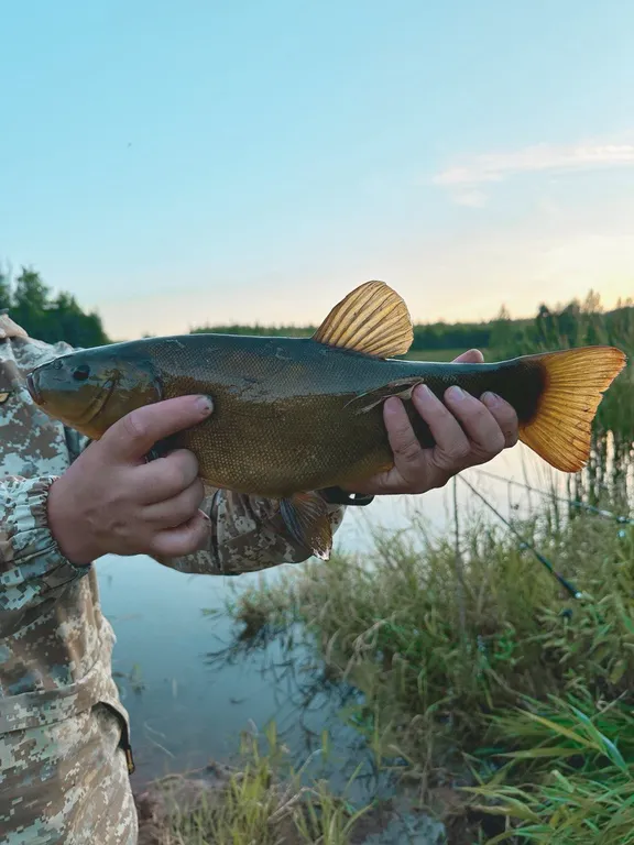 Гостевой дом счастье любит тишину