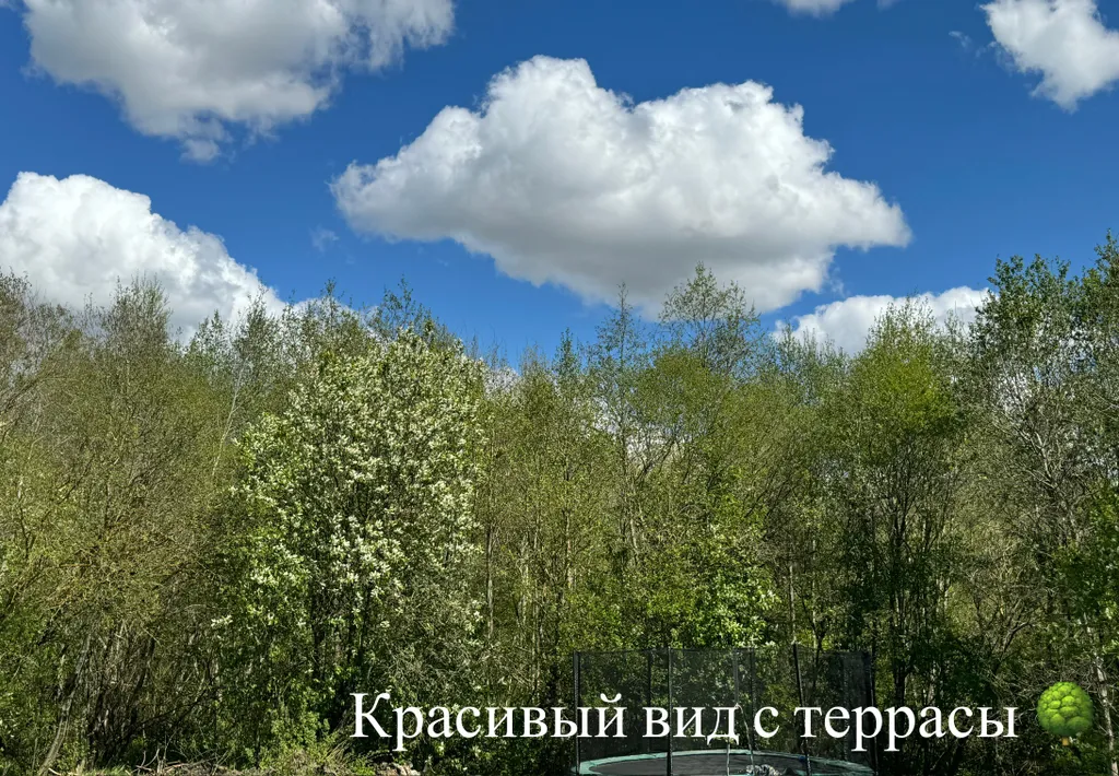 Коттедж Домик у леса и СПА-ОТДЫХ — Ропша