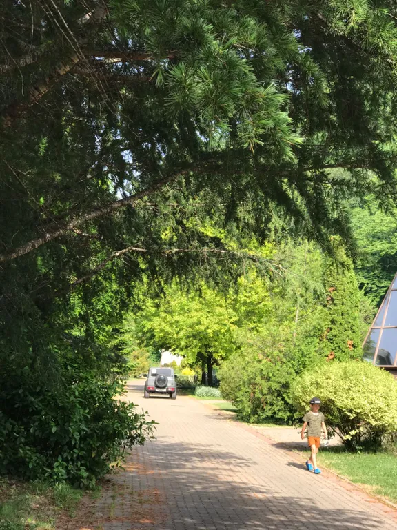 Апартаменты в ботаническом саду