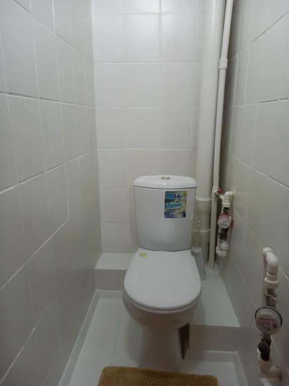 Звёздный спутник