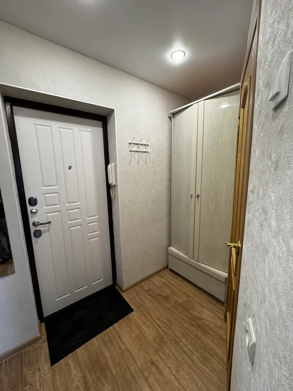 Уютная однокомнатная квартира