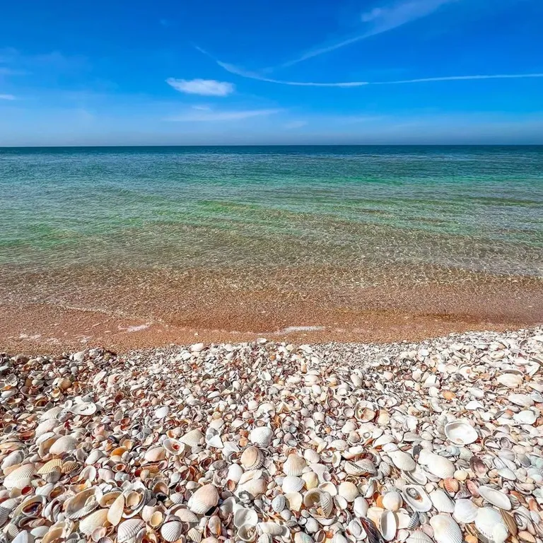 Дом с бассейном на Азовском море Виноград