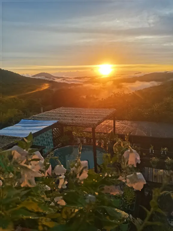 Коттедж Уютный домик в горах — Сочи