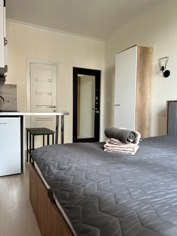 Бесконтактное заселение студия в ЖК Спутник