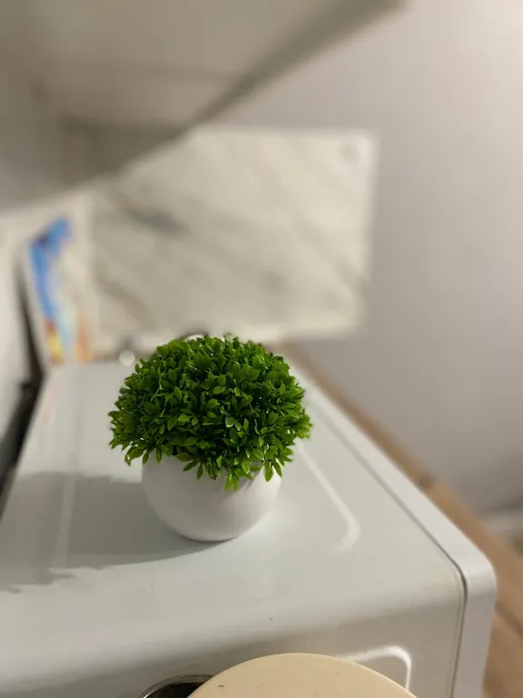 Уютная студия около Нового Зоопарка!