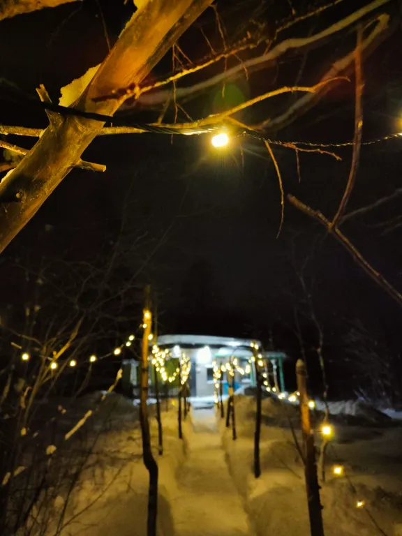 Коттедж Дом Леса — Краснознаменка