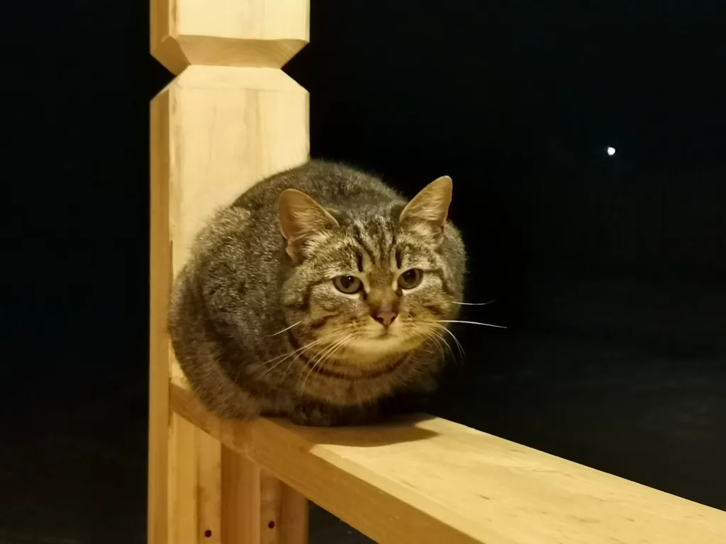 Уютный домик на Валдае