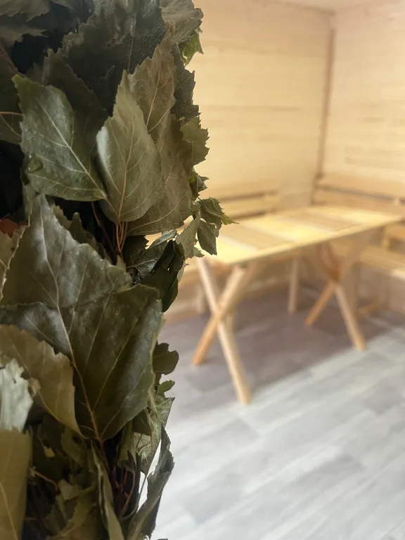 Гостевой дом в с.Ширяево