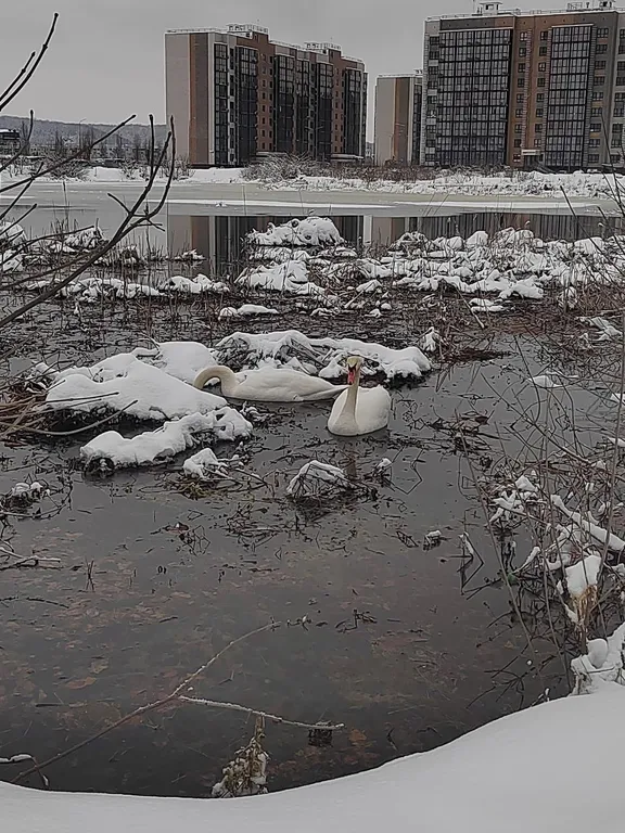 Квартира с видом на Лаго-Наки