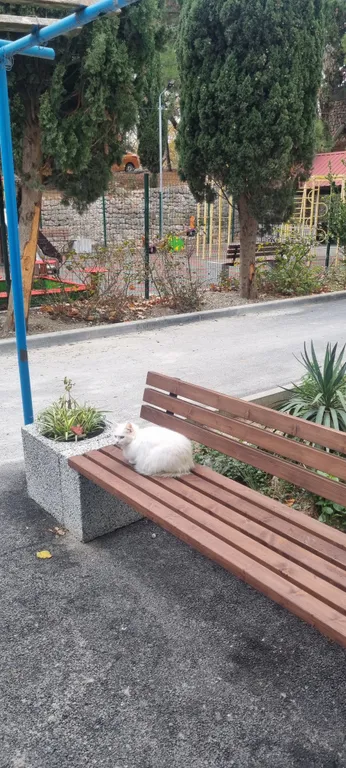 Квартира Уютная и очень классная квартира, в центре посёлке ждёт именно Вас — Кацивели