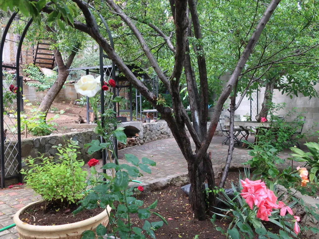 Студия Акуна Матата