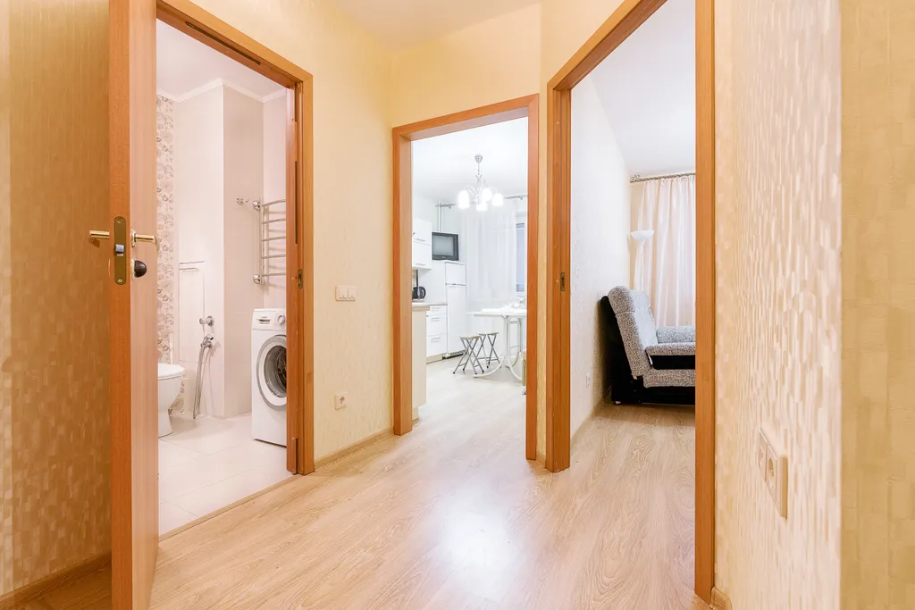 Однокомнатная квартира у метро Парнас