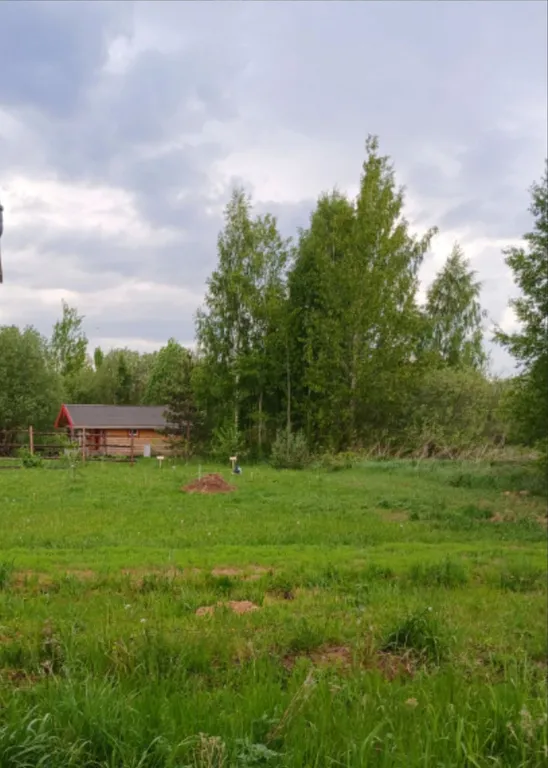 Дом в сердце русской деревни