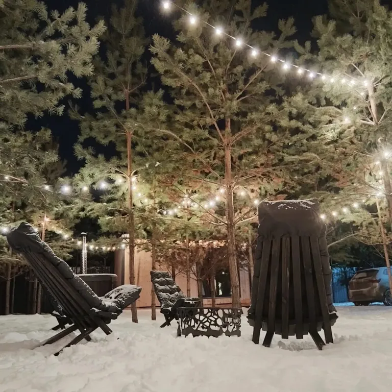 Домик, чан, баня в сосновом лесу, закрытая территория