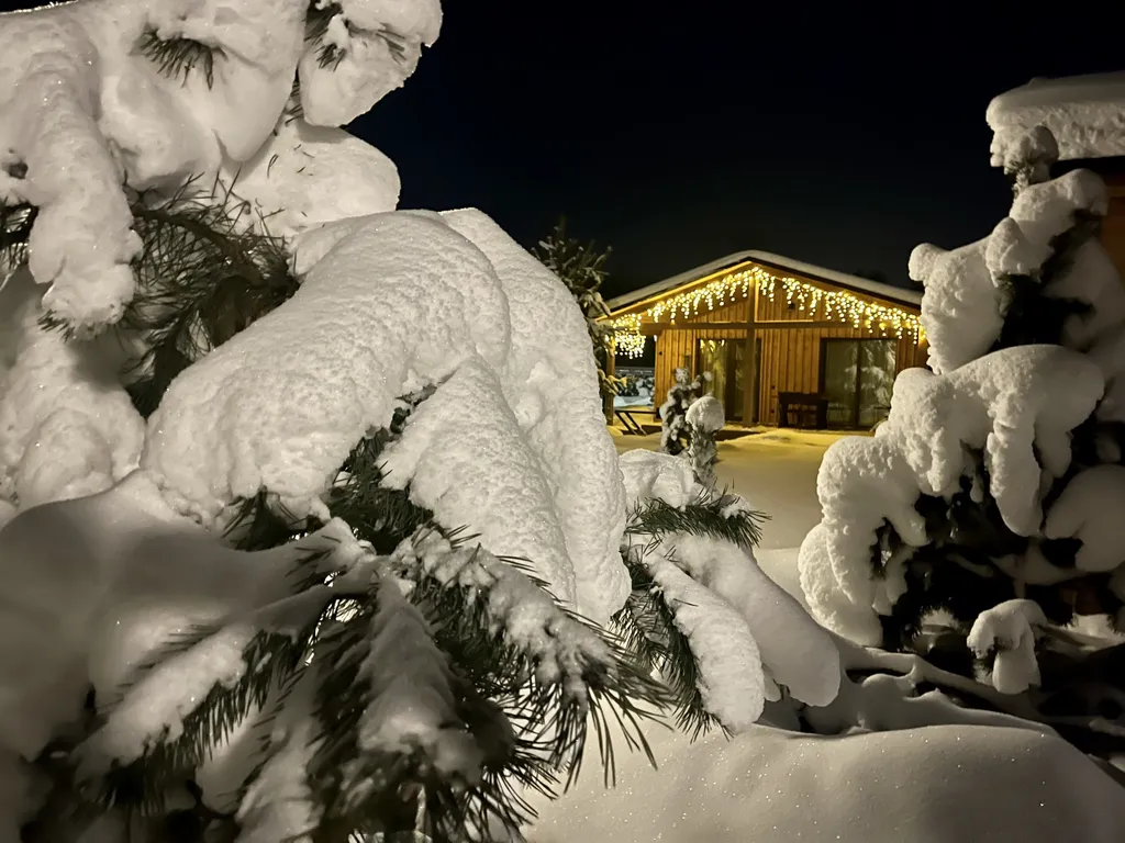 Просторный двухкомнатный коттедж в лесу у пруда — аренда посуточно в Звенигород