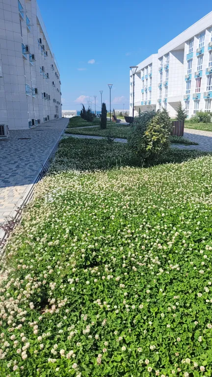 Квартира Апартаменты с бассейном на берегу моря — Севастополь