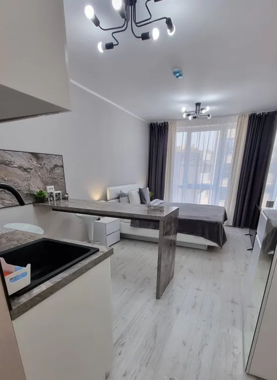 Студия у метро Парнас