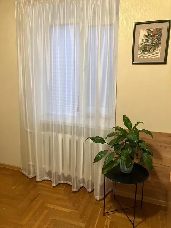 Квартира Квартира в самом центре курортной Анапы — Анапа