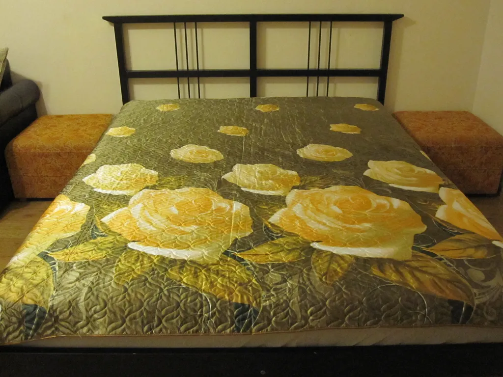 Двухкомнатная у Заставы и Трёх богатырей