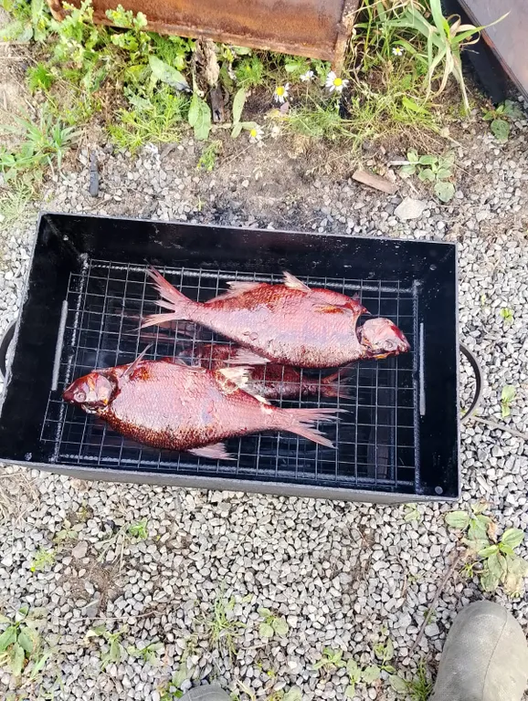 Дом в Карелии на берегу Онежского озера