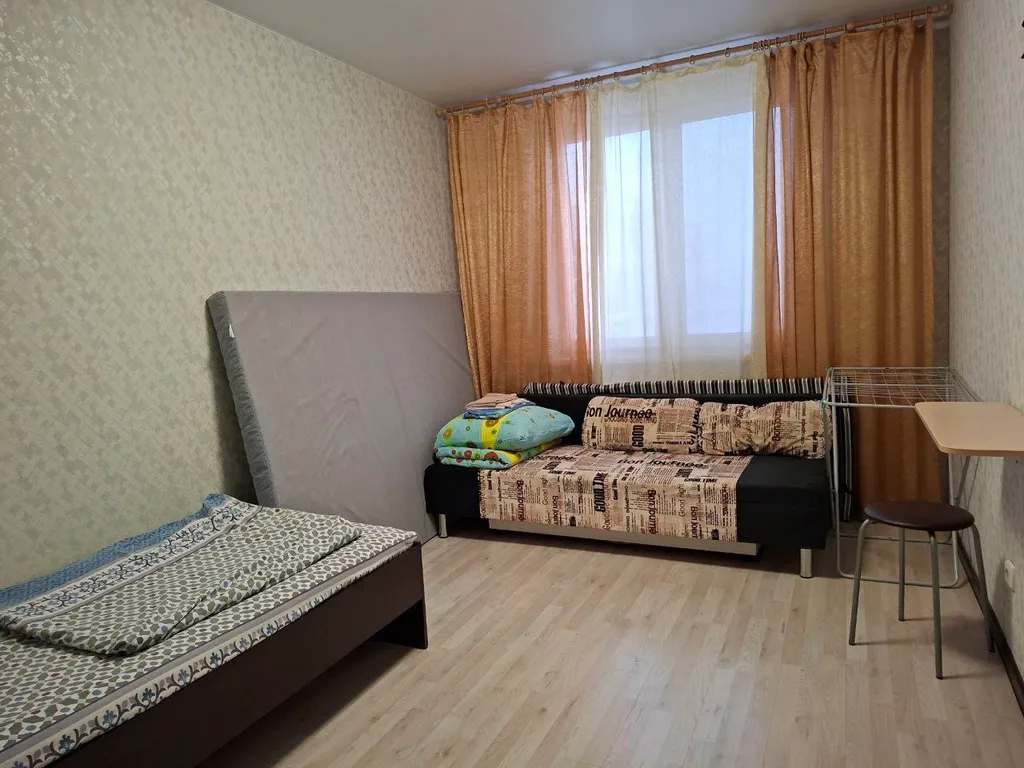 Просторная квартира на новогодние праздники