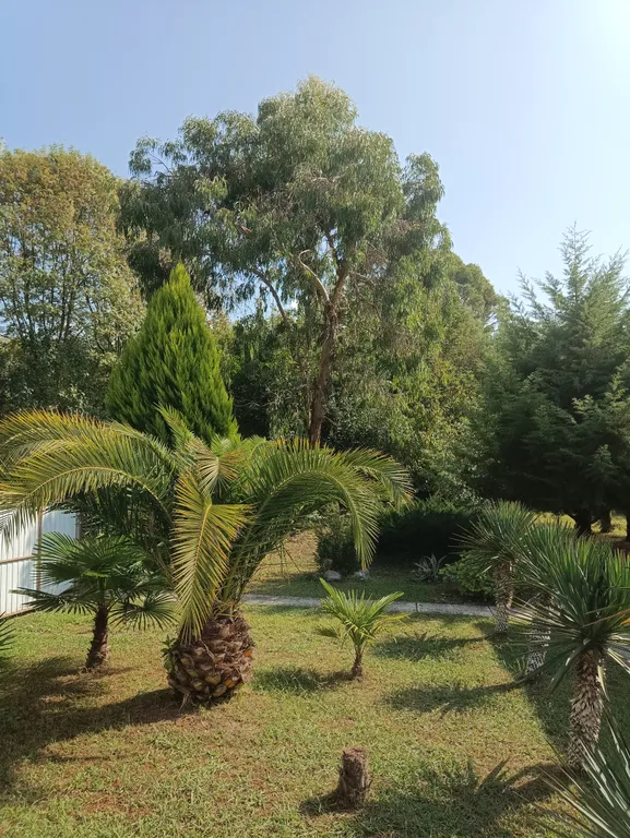 Вилла с парком под ключ