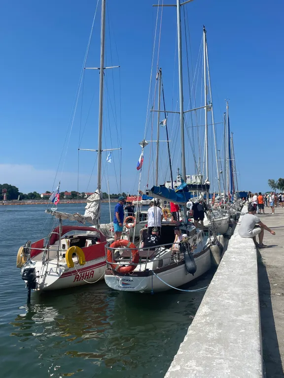 Квартира с пандой