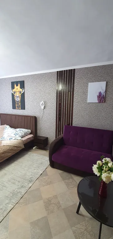 1-комнатная уютная квартира