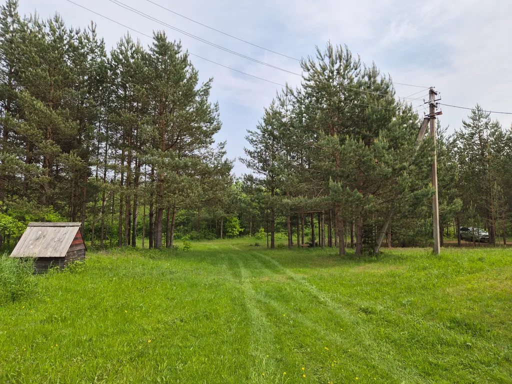 Усадьба Сосновый хутор на берегу реки Мста