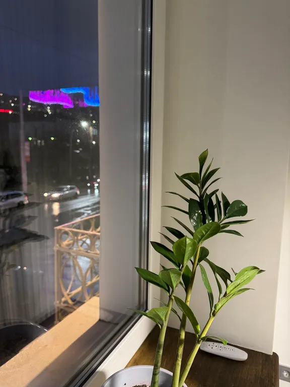 Квартира в центре города