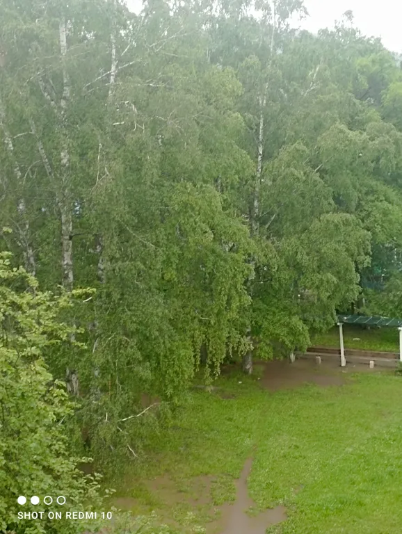 Уютная чистая квартира