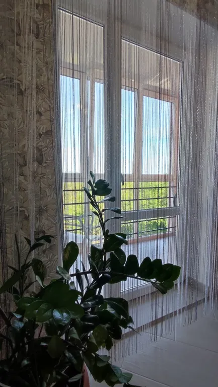 Квартира Квартира у моря и Куршской косы — Зеленоградск