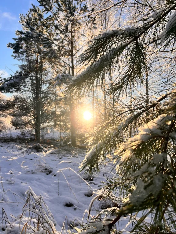 Коттедж Загородный дом со всеми удобствами рядом с речкой и озером — Рябово