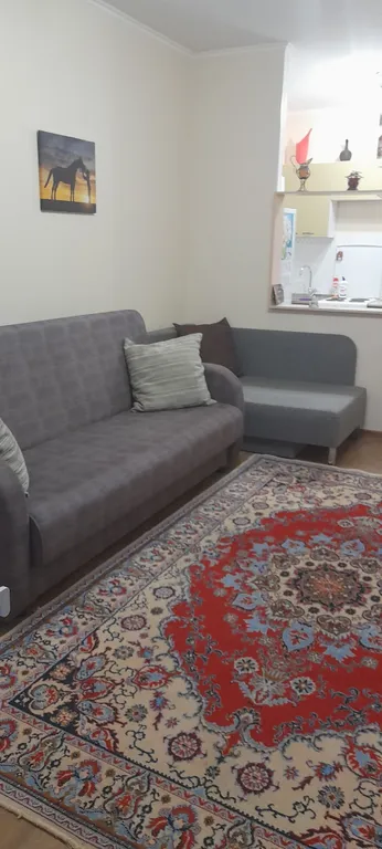 Уютная, тёплая студия в новом доме