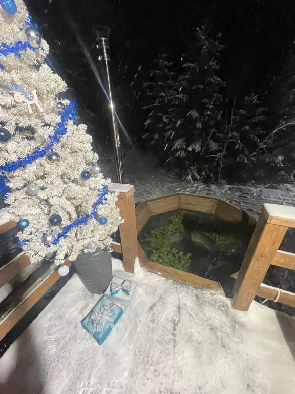 Коттедж Дом А-frame в хвойном лесу — Половина