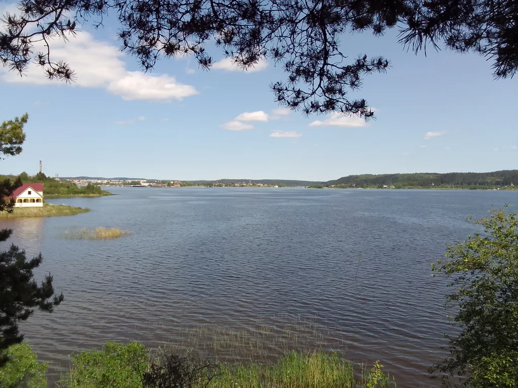 Дом "Карельская береза" недалеко от центра города.